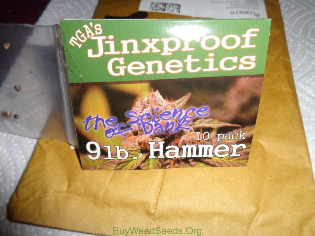 jinxproof genetics 9lb hammer