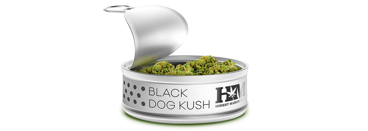 Honest Marijuana cannabis container