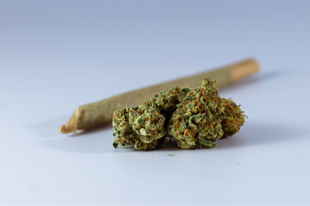 Marijuana next to a blunt
